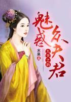 九天之后:魅惑众夫君